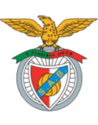 https://img.hgssl.net/img/football/team/13d8d22b32e0803f939082416da63541.png